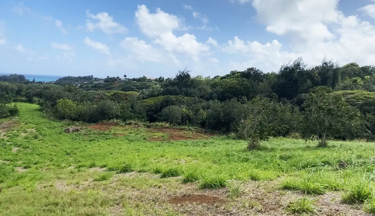 Laipo Rd, Kapaa, HI 96746 - #1