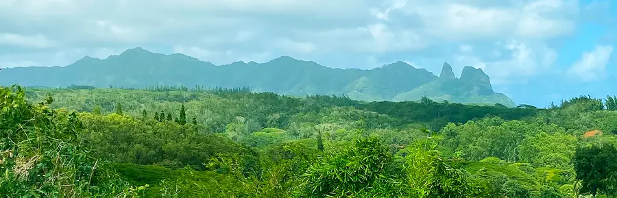Laipo Rd, Kapaa, HI 96746 - #3