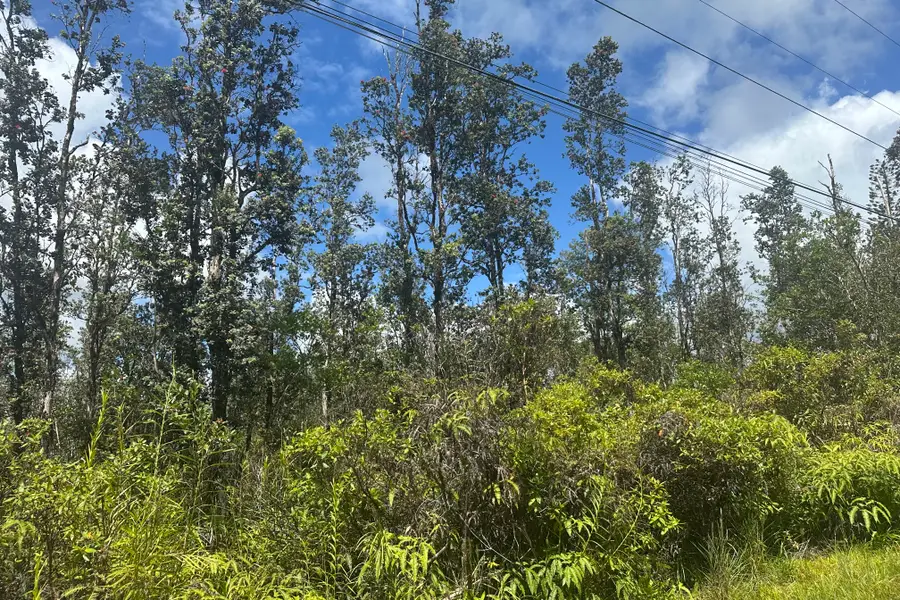 Road 9 (koloa Maoli), Kurtistown, HI 96760 - #2