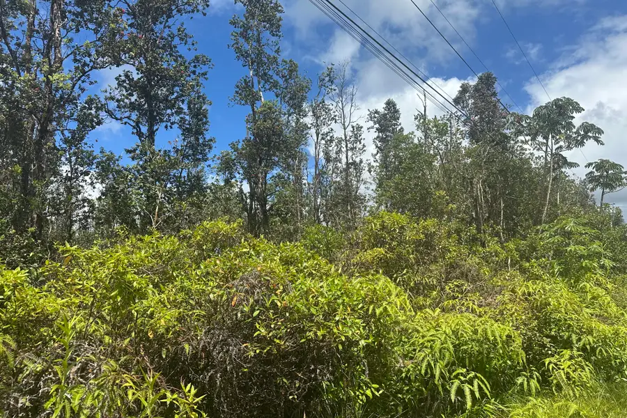 Road 9 (koloa Maoli), Kurtistown, HI 96760 - #3