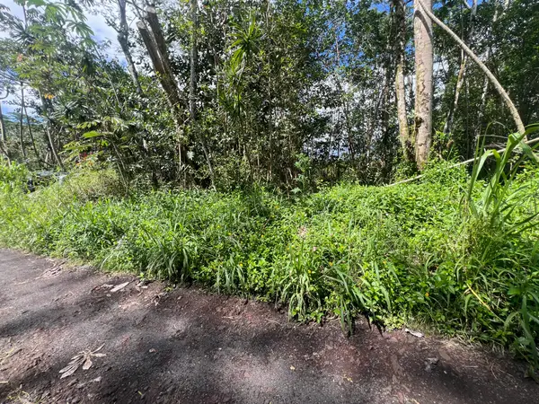 Tiki Rd, Kurtistown, HI 96760