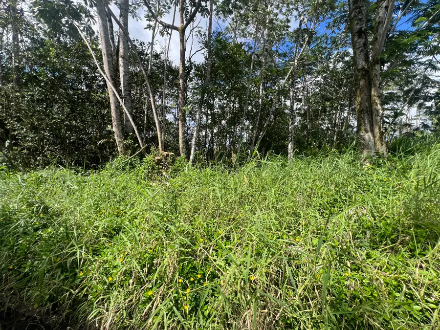 Tiki Rd, Kurtistown, HI 96760 - #2