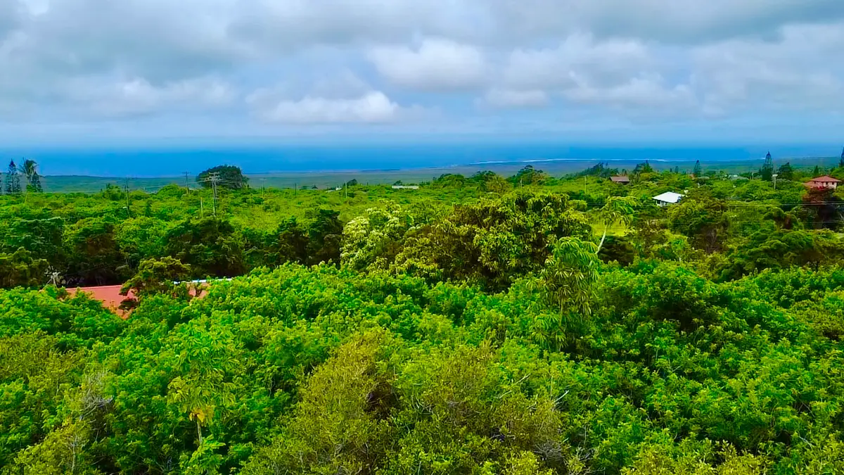 Amepela Rd, Naalehu, HI 96772 - #1