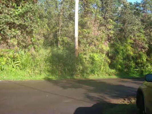 Mayzee Rd, Pahoa, HI 96778 - #1