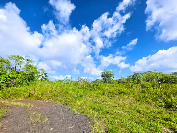 Pohoiki Kalapana Rd, Pahoa, HI 96778