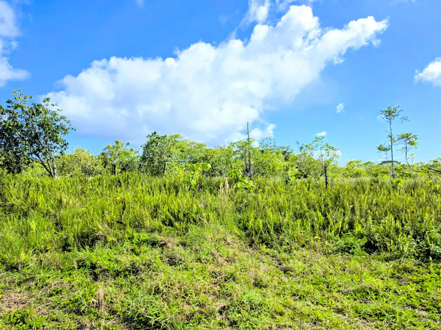 Pohoiki Kalapana Rd, Pahoa, HI 96778 - #3