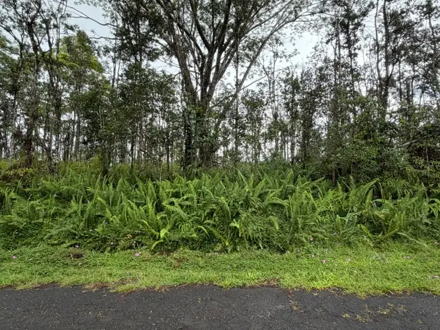 Puna Rd, Pahoa, HI 96778 - #1