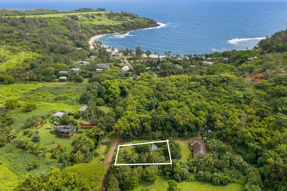 3665 Moloaa Rd, Kapaa, HI 96746 - #1
