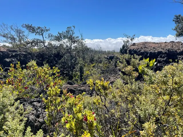 Trade Wind Blvd, Ocean View, HI 96737 - #2