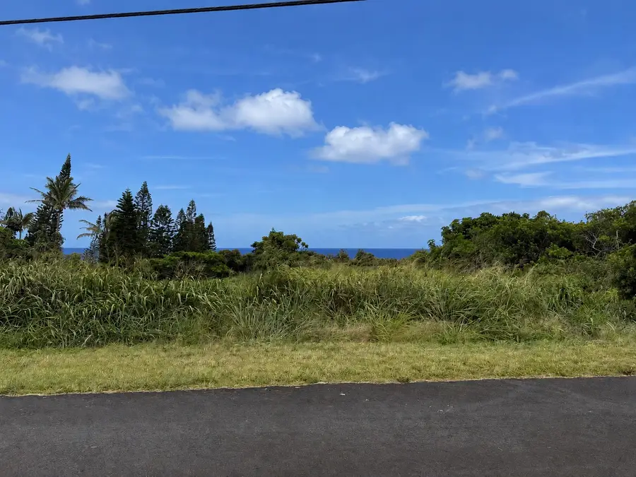 Kahiki St, Naalehu, HI 96772 - #2