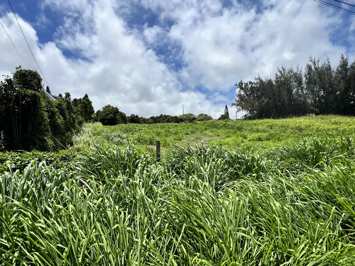 94-6493 Keoki Road, Naalehu, HI 96772 - #1
