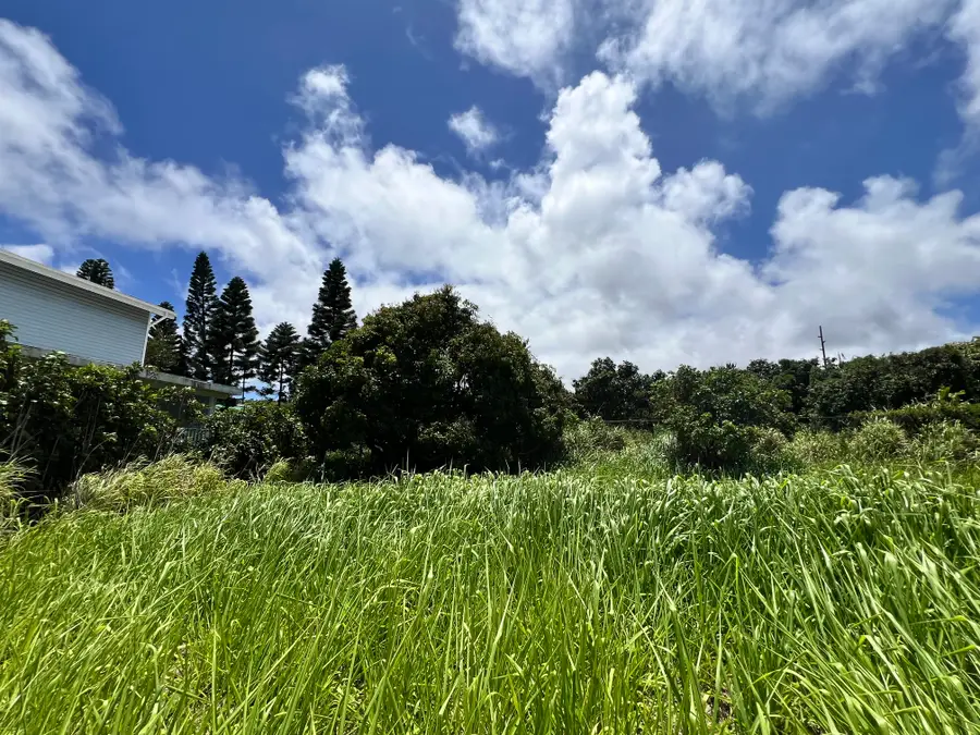 94-6493 Keoki Road, Naalehu, HI 96772 - #2