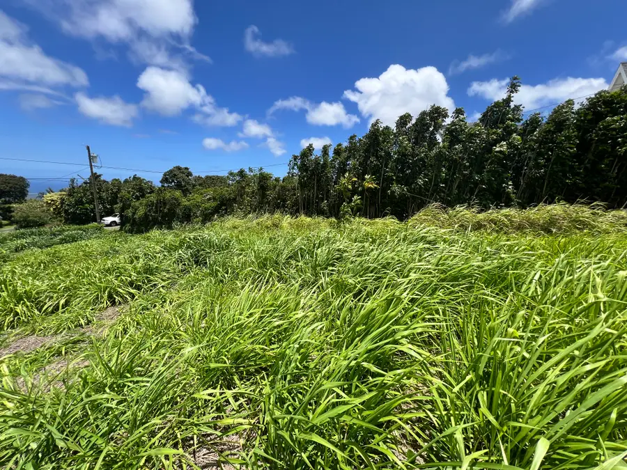 94-6493 Keoki Road, Naalehu, HI 96772 - #3