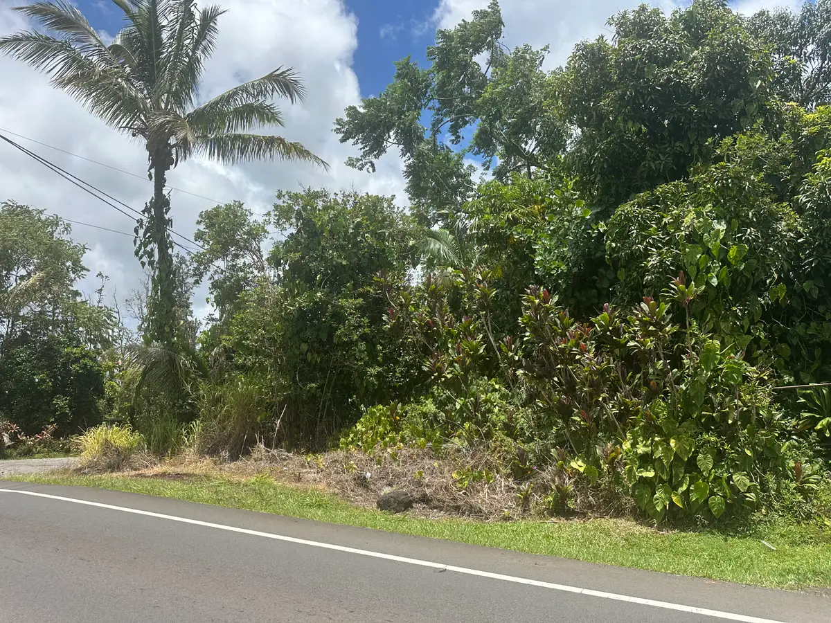 Paradise Ct, Keaau, HI 96749 - #1