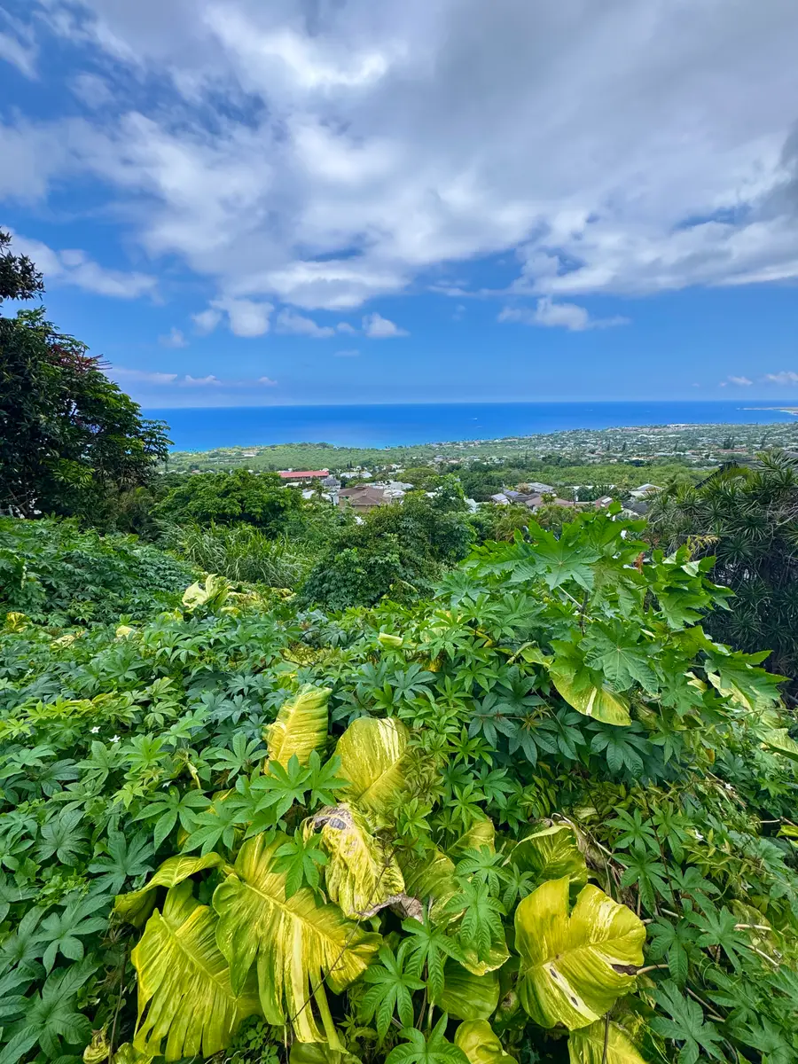 77-6460 Leilani St, Kailua Kona, HI 96740 - #2