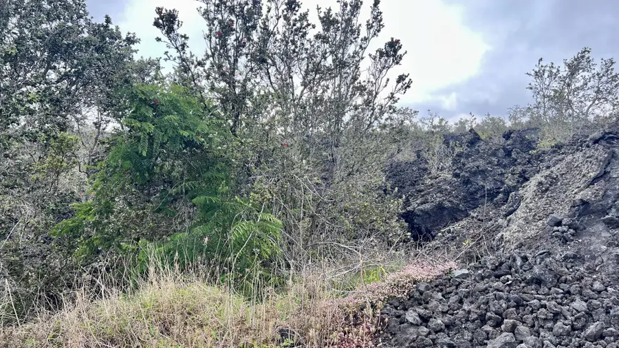 Mahimahi Dr, Ocean View, HI 96737 - #2