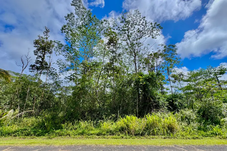 Hilo Rd, Pahoa, HI 96778 - #2