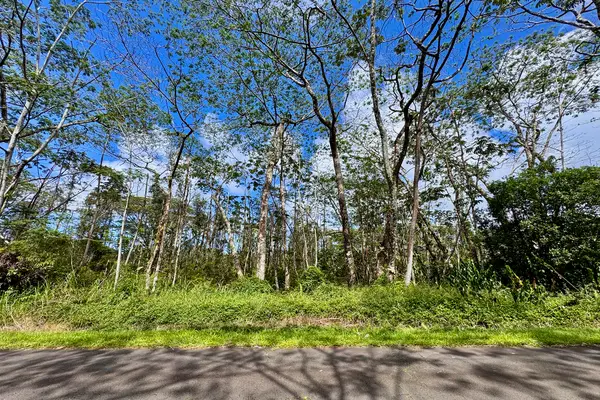 Kauai Rd, Pahoa, HI 96778