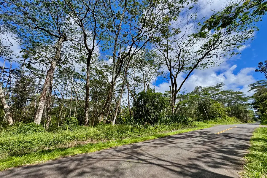 Kauai Rd, Pahoa, HI 96778 - #2