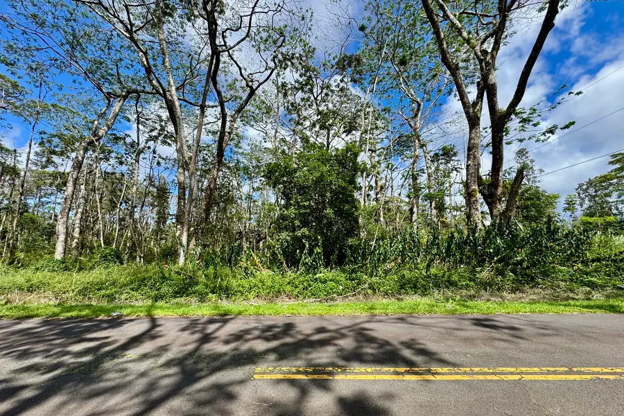 Kauai Rd, Pahoa, HI 96778 - #3