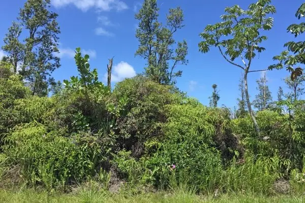 1st Ave, Keaau, HI 96749
