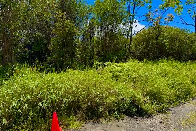 16-1495 Io Kea Rd, Kurtistown, HI 96760 - #1