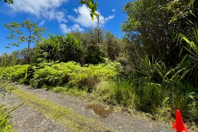 16-1495 Io Kea Rd, Kurtistown, HI 96760 - #3