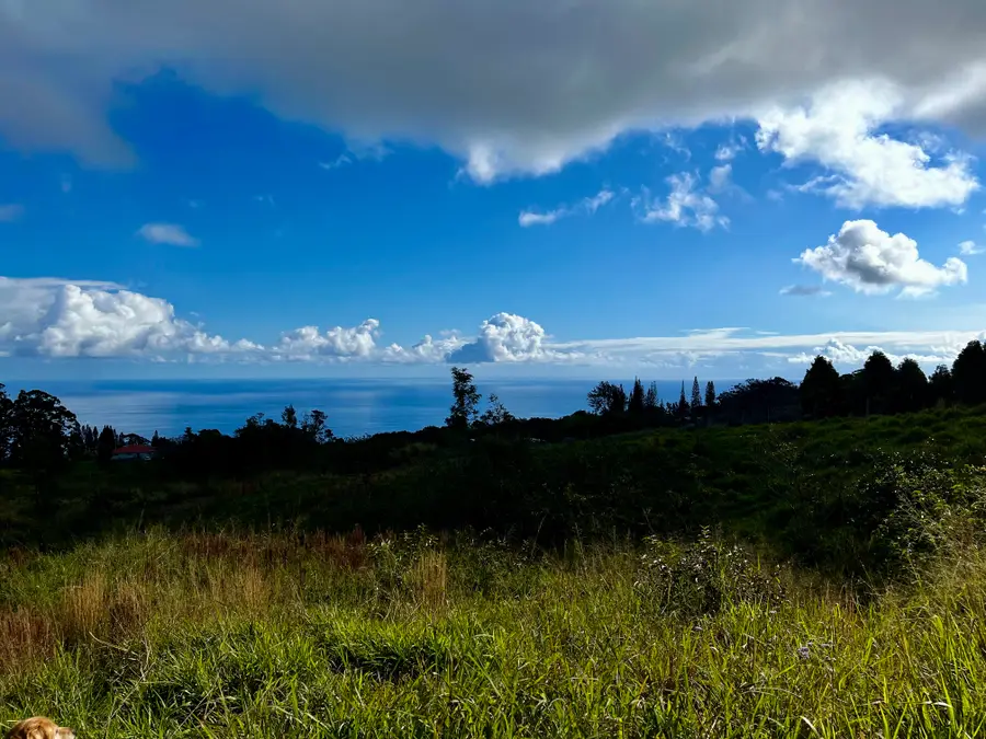 Kula Kahiko Rd, Honokaa, HI 96727 - #3