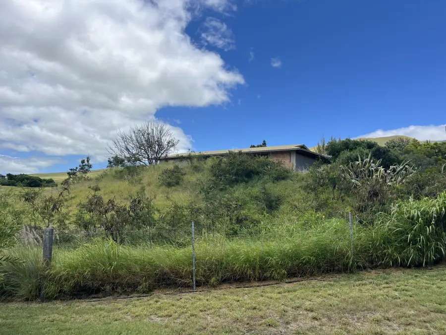 62-2280 Kanehoa St #1, Kamuela, HI 96743 - #2