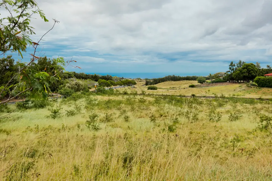 62-2280 Kanehoa St #1, Kamuela, HI 96743 - #3