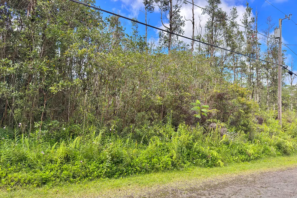 Mauna Kea Rd, Pahoa, HI 96778 - #1
