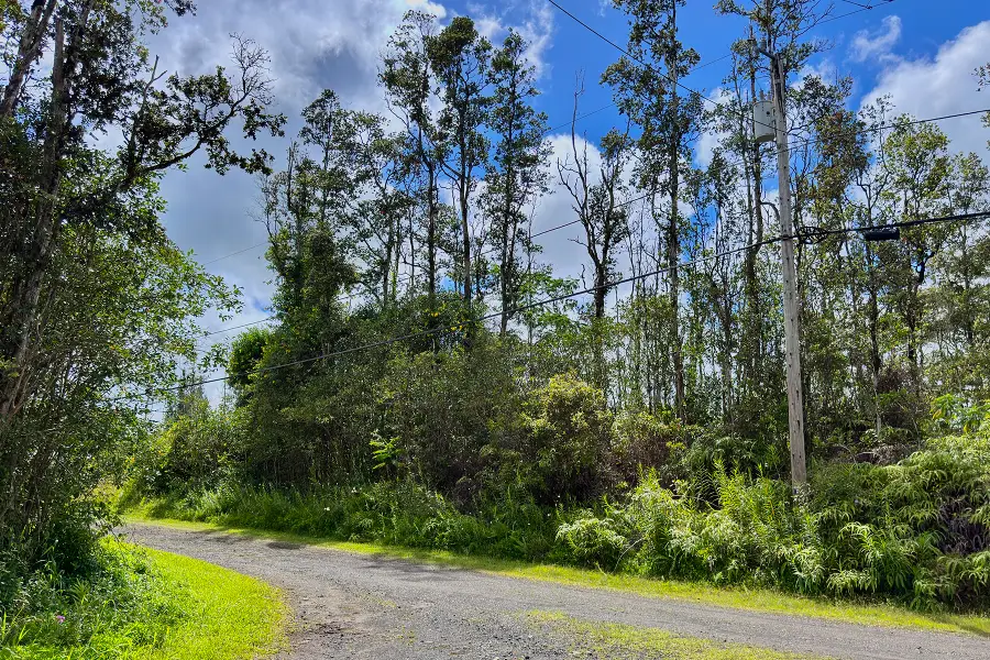 Mauna Kea Rd, Pahoa, HI 96778 - #2