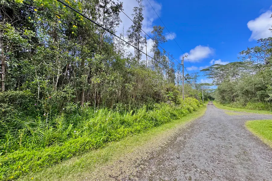 Mauna Kea Rd, Pahoa, HI 96778 - #3