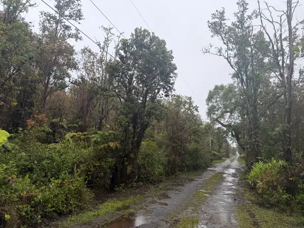 Road 9, Mountain View, HI 96771