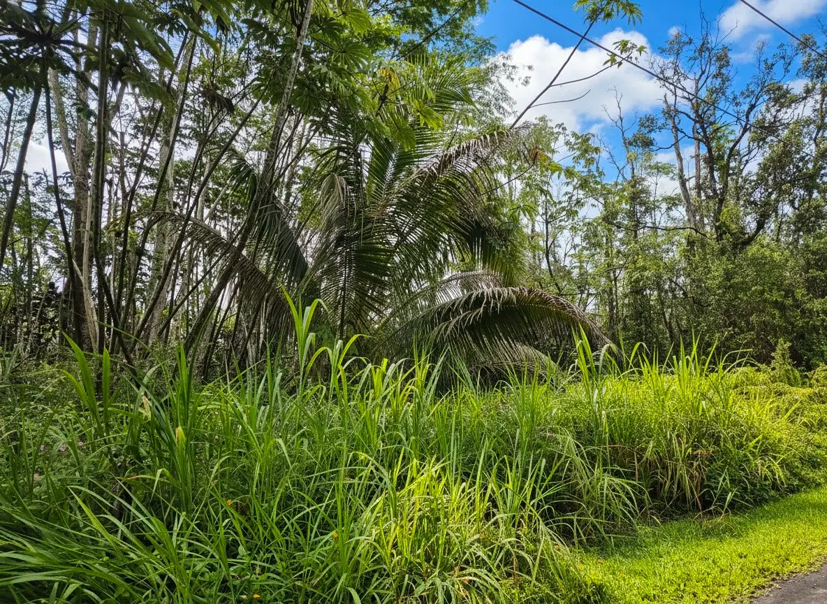 Molokai Rd, Pahoa, HI 96778 - #1