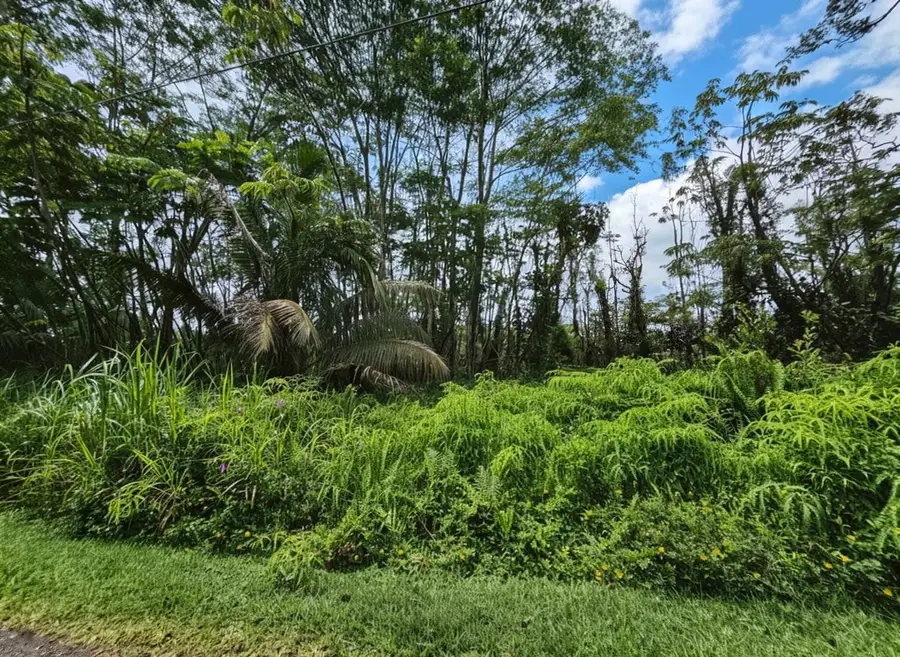 Molokai Rd, Pahoa, HI 96778 - #2