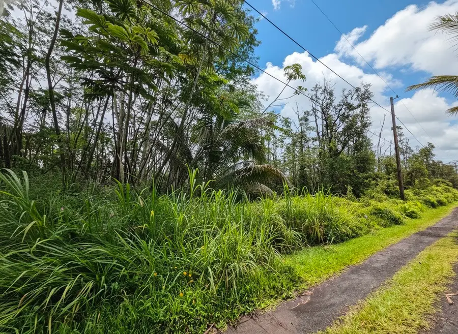 Molokai Rd, Pahoa, HI 96778 - #3