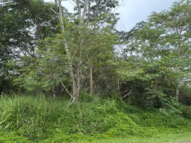 Hapuu Dr, Pahoa, HI 96778 - #2
