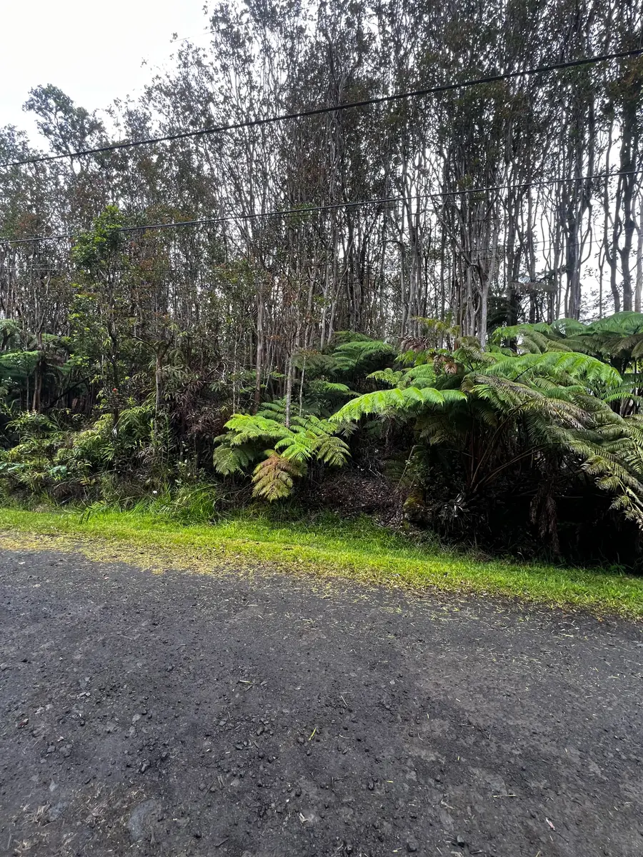 Road 11, Mountain View, HI 96771 - #3