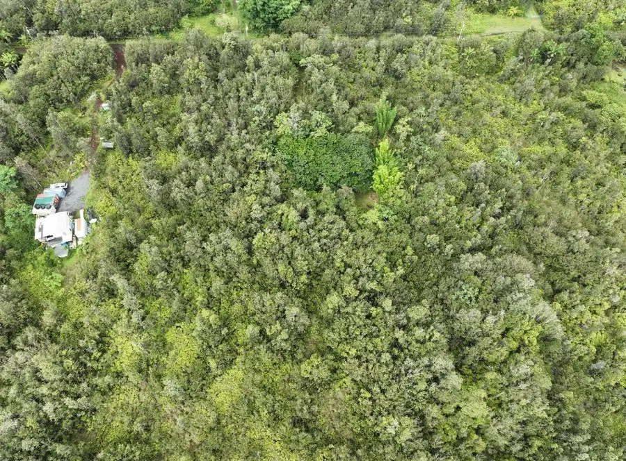 16-1437 Opeapea Rd, Kurtistown, HI 96760 - #3