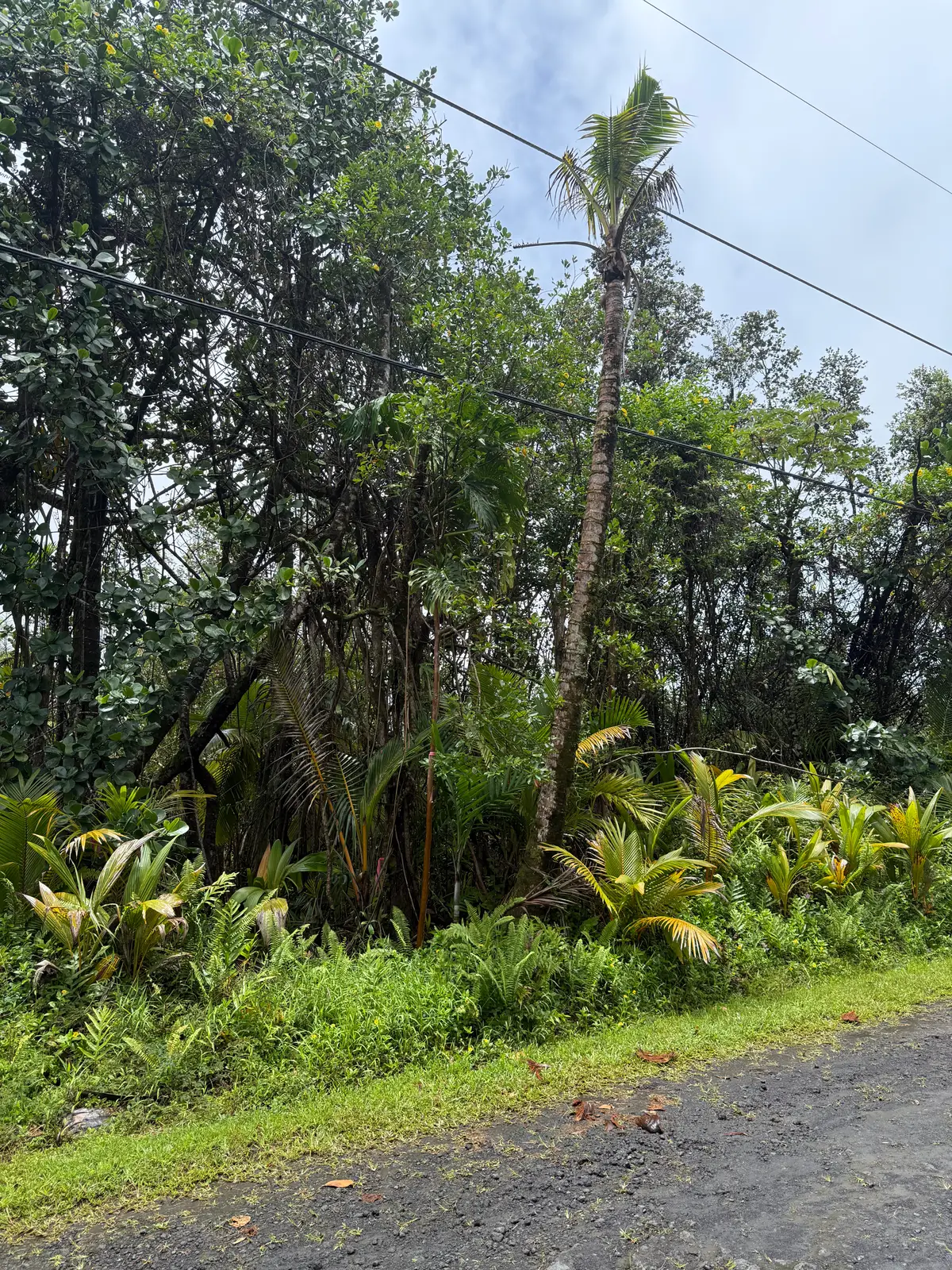 Seaview Rd, Pahoa, HI 96778 - #1