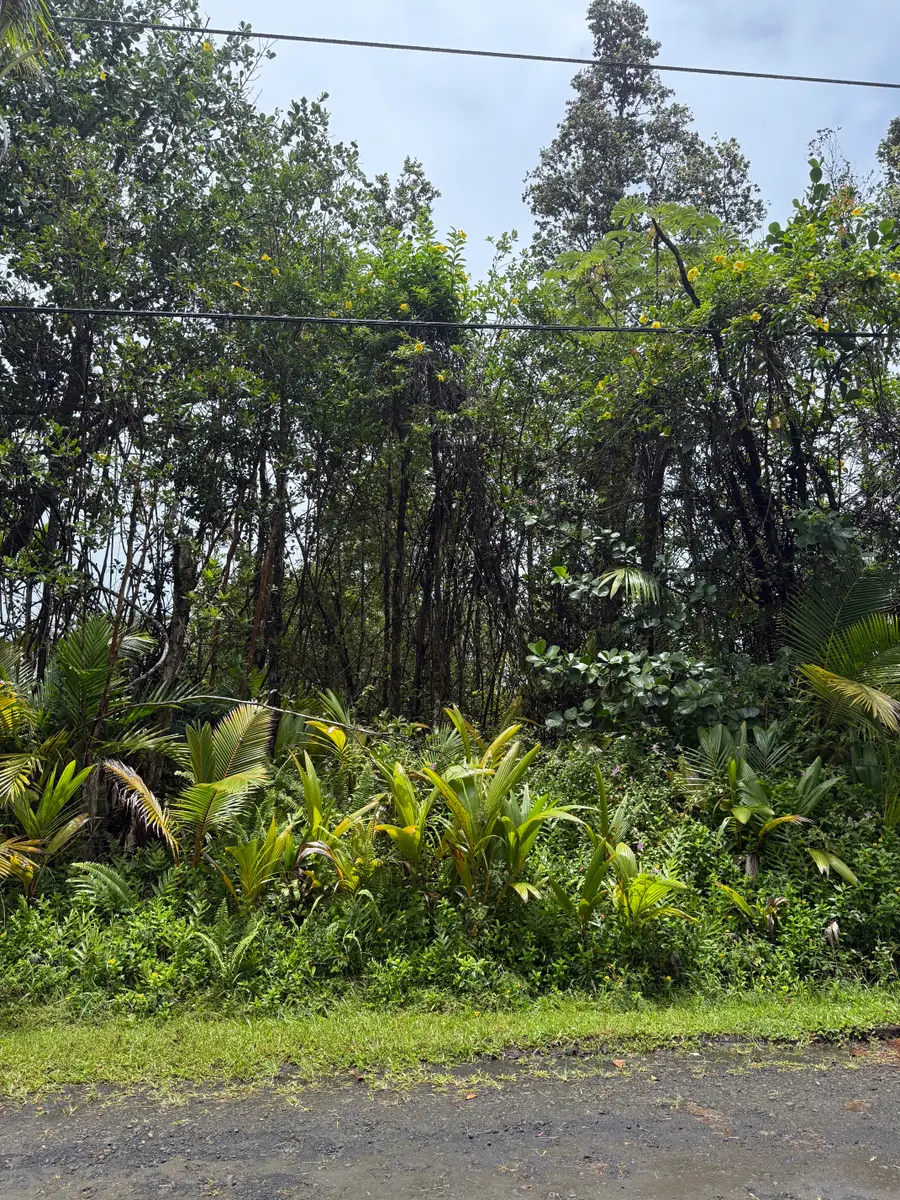 Seaview Rd, Pahoa, HI 96778 - #2
