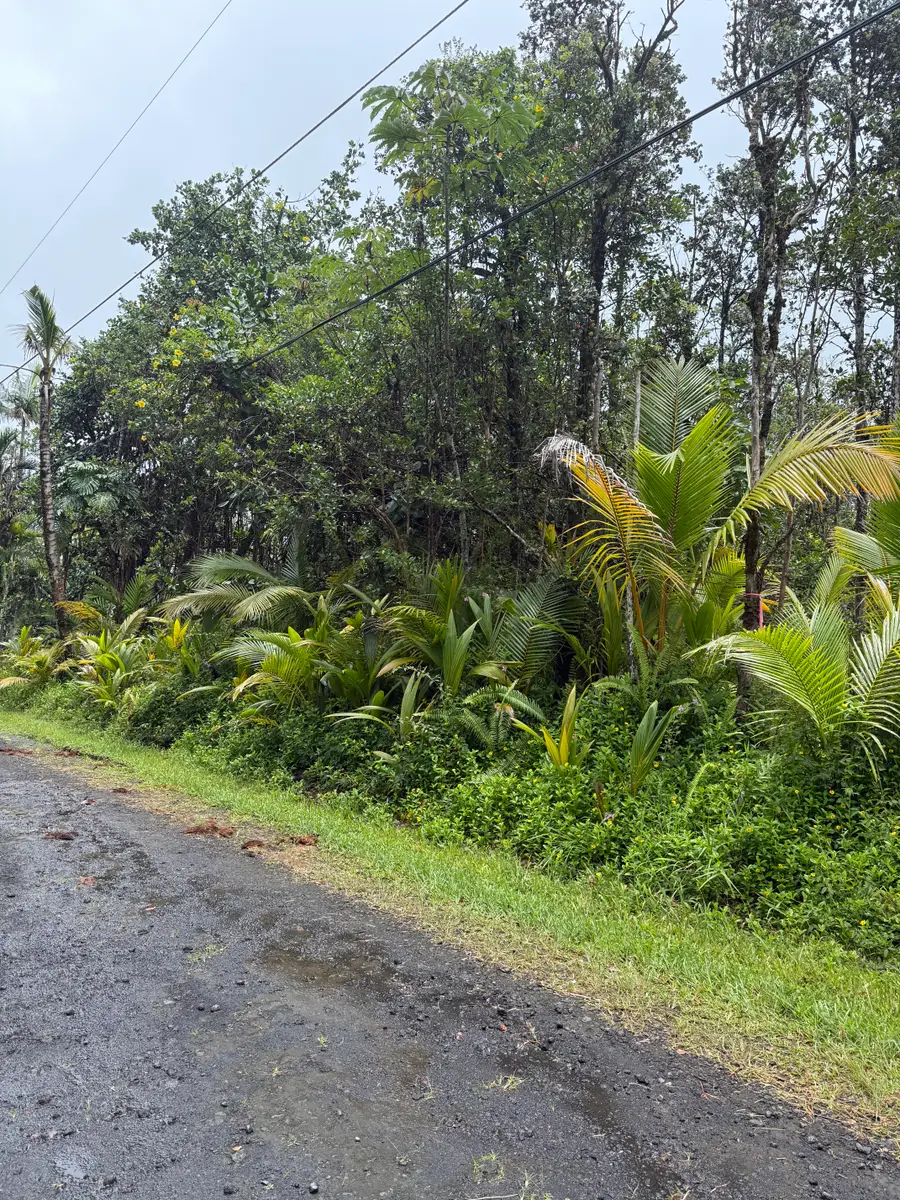 Seaview Rd, Pahoa, HI 96778 - #3