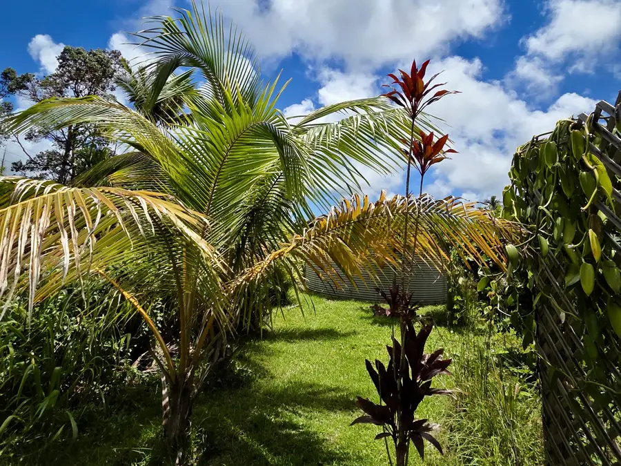 16-2035 Vista Dr, Pahoa, HI 96778 - #3