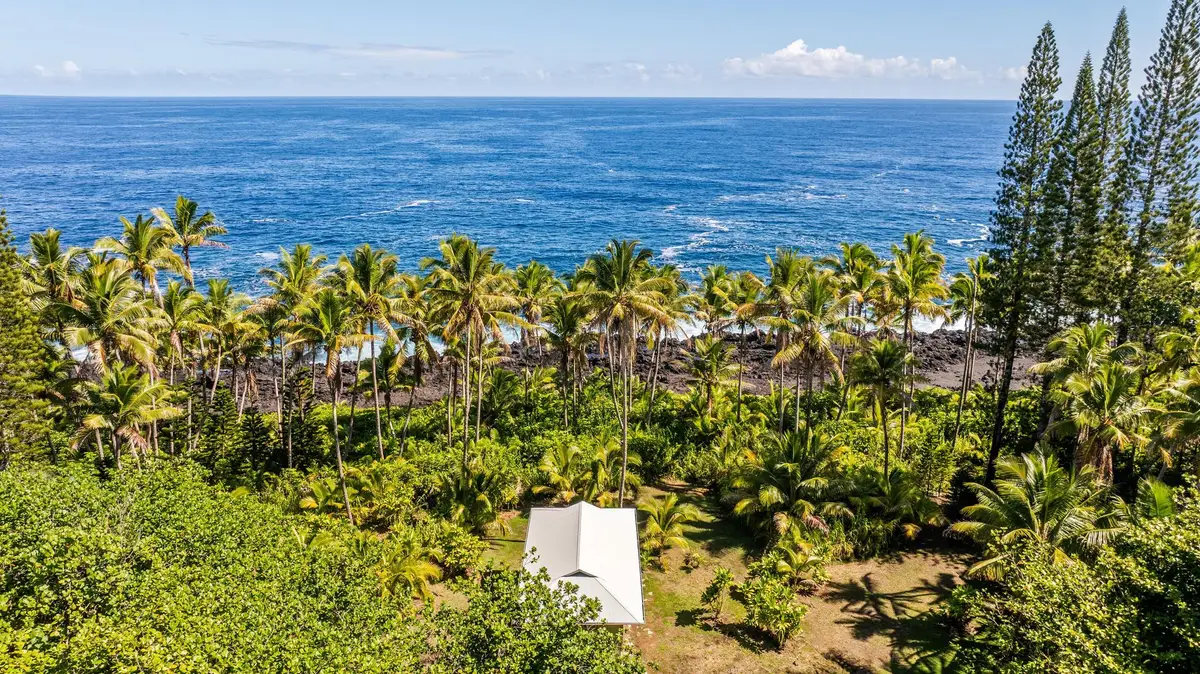 15-2649 Government Beach Rd, Pahoa, HI 96778 - #1