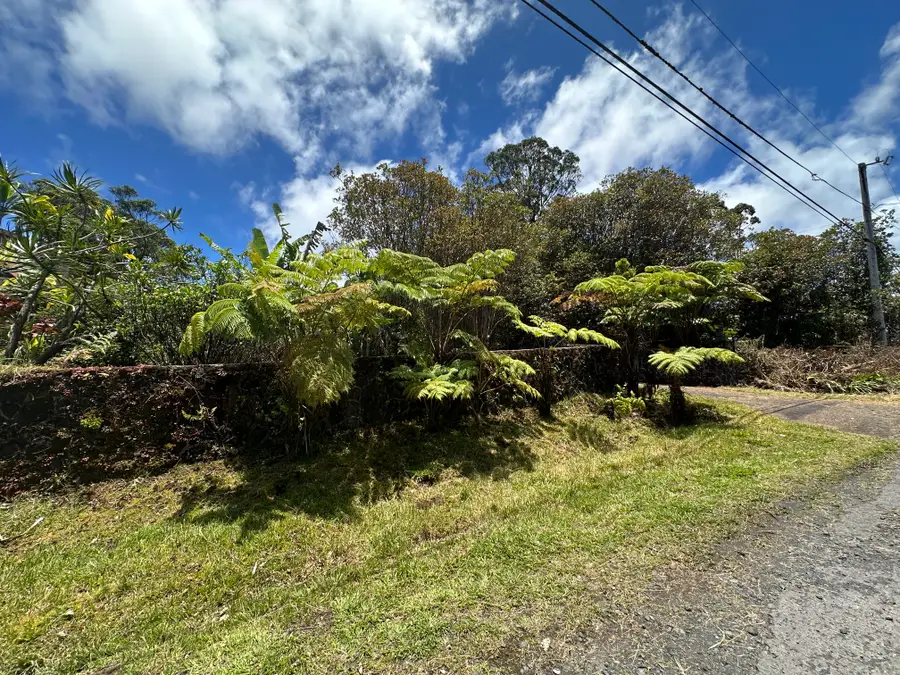 Hohiu St, Mountain View, HI 96771 - #3