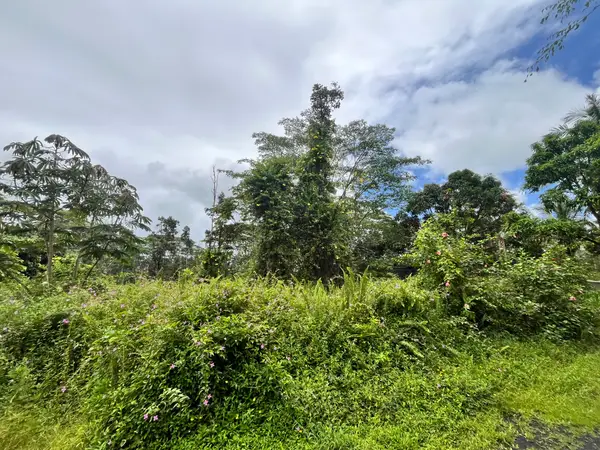 Lehua Rd, Pahoa, HI 96778