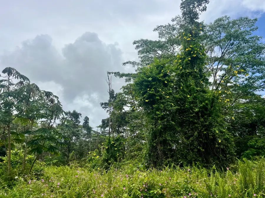 Lehua Rd, Pahoa, HI 96778 - #2