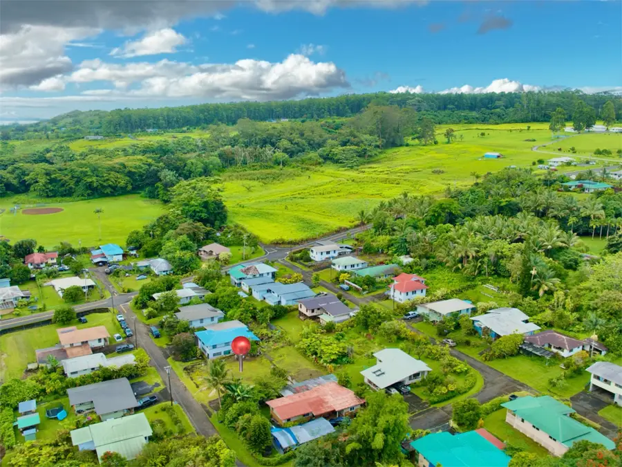 28-252 Kalani Loop Road, Honomu, HI 96728 - #3