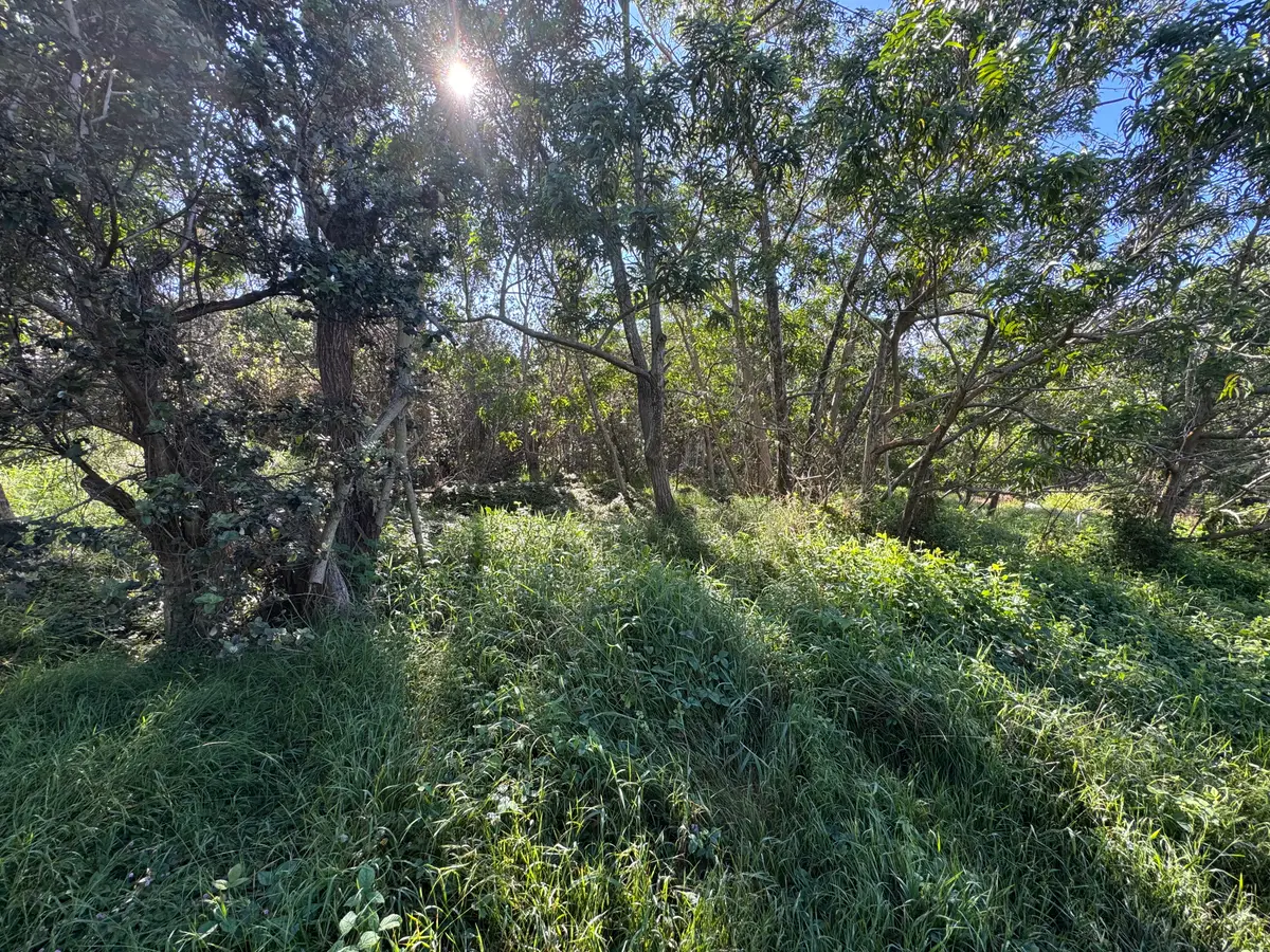 Trade Wind Blvd, Ocean View, HI 96737 - #1